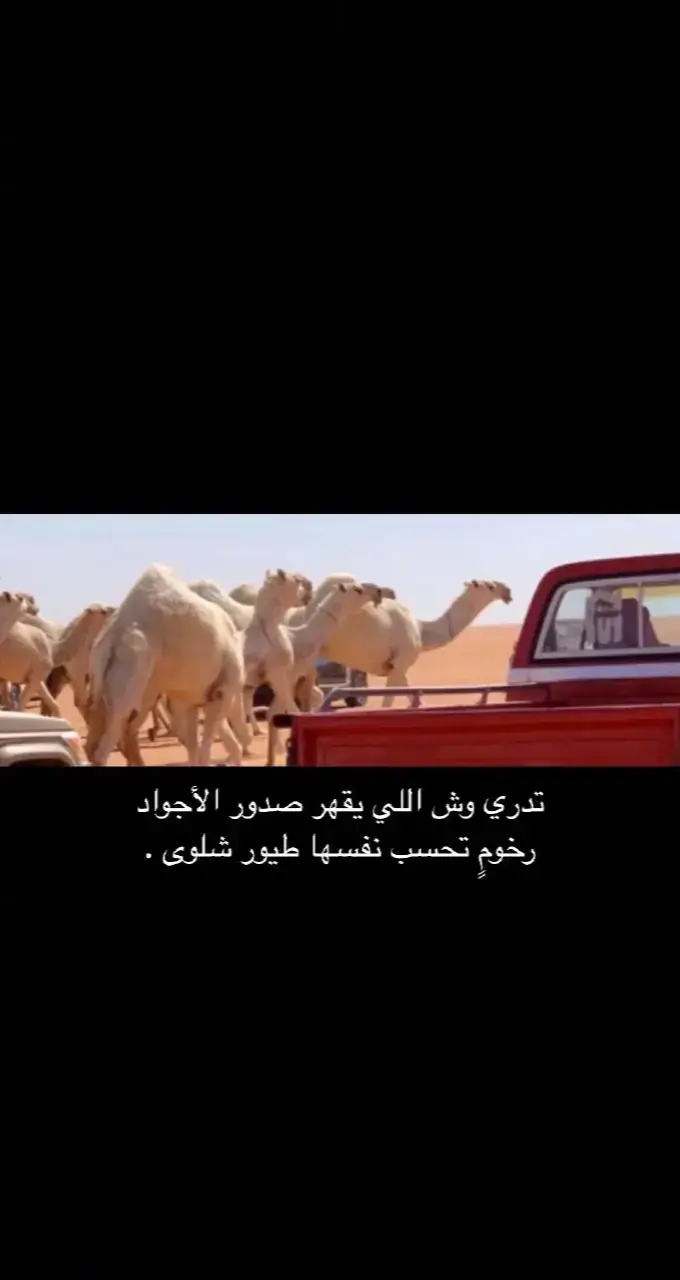 #بدون_هشتاق 