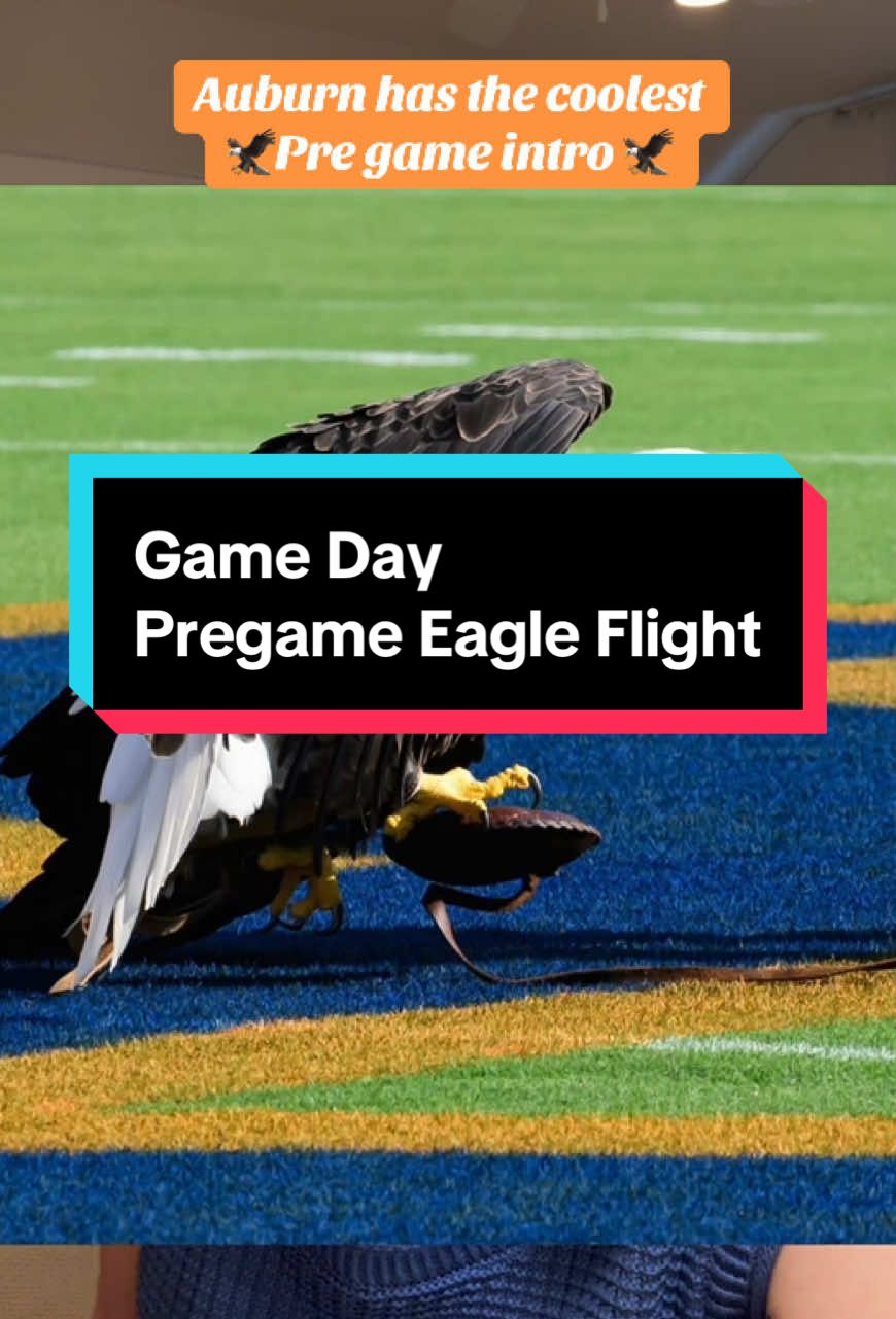Hard to beat this pregame intro at Auburn. War Eagle 🦅 #gameday #auburn #CollegeFootball #pregame #wareagle 