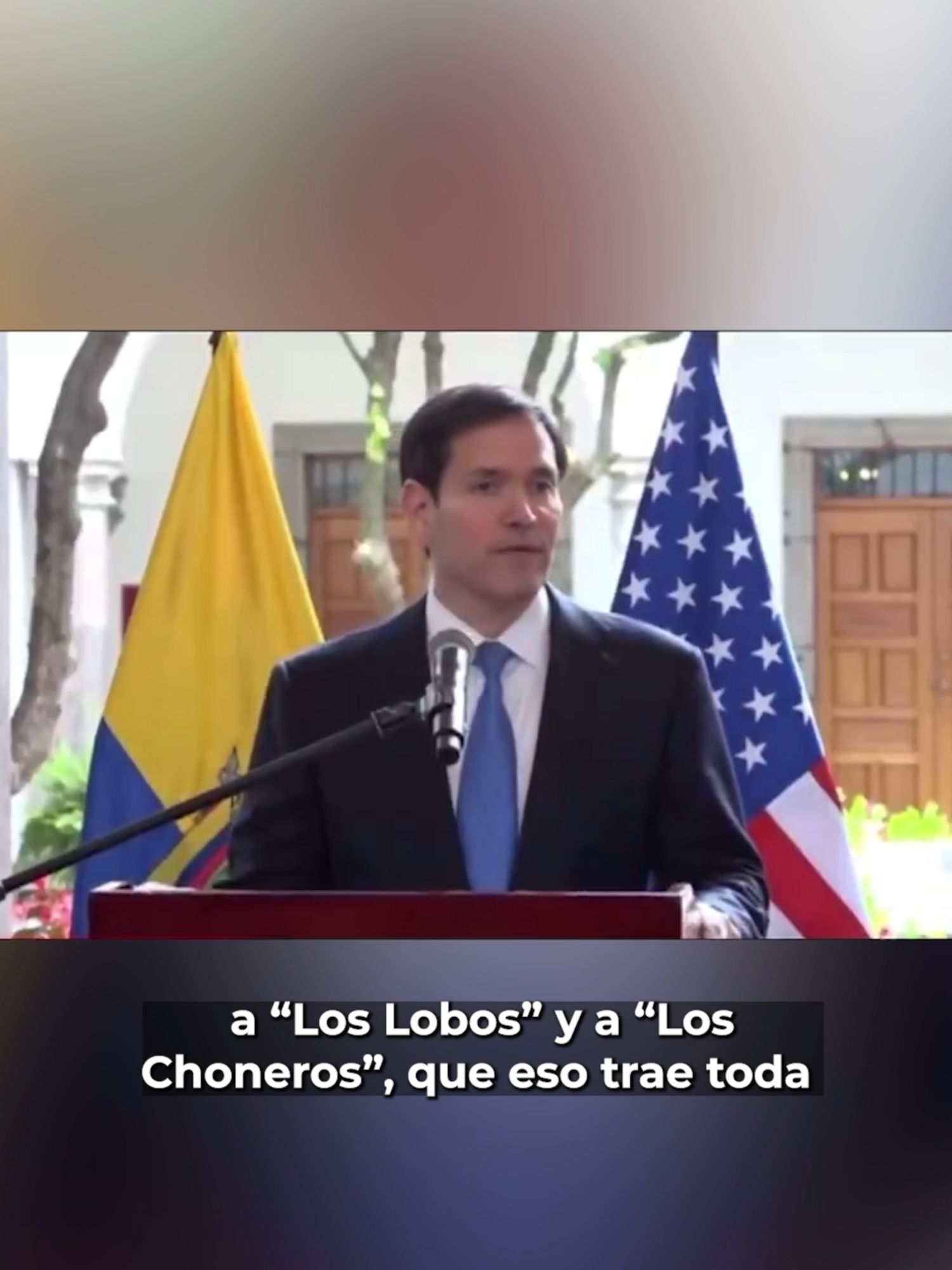Vamos a designar como grupos terroristas a “Los Lobos” y a “Los Choneros