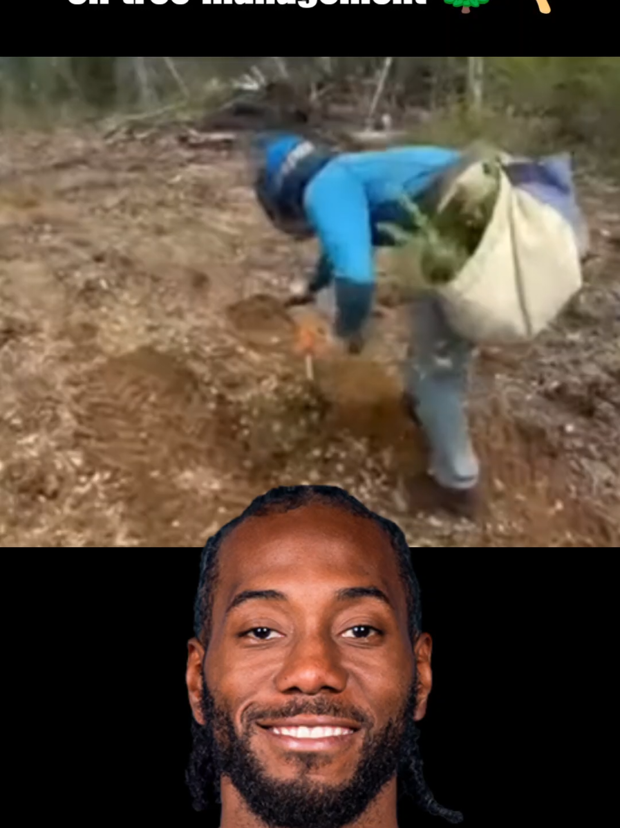 Kawhi Leonard Getting to Work on 10,000 Trees 🌲😐 | NBA Meme #KawhiLeonard #NBA #NBAMemes #Kawhi #FunnyNBA     
