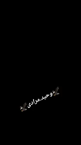 #وحيدمرادي_روحت_شاد_دادش_عقاب_ايران #وحيدمرادي #وحيدمرادي_روحت_شاد_دادش_عقاب_ايران #foruyou 