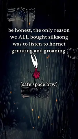 silksong game of the year | #hollowknight #hollowknightsilksong #videogames #funny #fyp 
