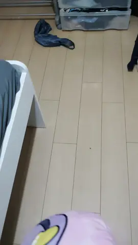 satori pillow abuse
