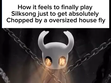 Been fighting this god damn fly for 2 hours #silksong #hallowknight #gaming #meme #funny 