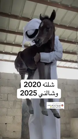 الرد على @سوسو #سلمان_الميموني #حفرالباطن #القيصومة #الخبر 