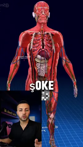 Bu site sayesinde insan vücudu hakkında her şeyi öğreneceksiniz! ✅ Bu, anatomi, hastalıklar ve tedavi yöntemlerini anlamayı kolaylaştıran bir 3D platformudur. Vücudu 3D keşfedin! İnsan sağlığını ve bedenin durumunu anlamanın en iyi yolu. Site: human.biodigital.com – sanal beden için interaktif bir 3D platformdur, anatomi, hastalıklar ve tedavilerin anlaşılmasını kolaylaştırır. Tarayıcınız üzerinden erişilebilen en kapsamlı gerçek anatomi ve sağlık modelleri setini sunar. Ayrıntılı tıbbi açıklamalarla birleştirilen araçlar, vücudunuzu öğrenmek için eşi görülmemiş yeni bir görsel format sağlar. Hatta hastalıklarla ilgili açıklamalar yaparak video bile kaydedebilirsiniz. Bence bu, medikal bloggerler için içerik açısından çok faydalı. Abone ol ve bir arkadaşına gönder, o da kendi bedenini keşfetsin 👌
