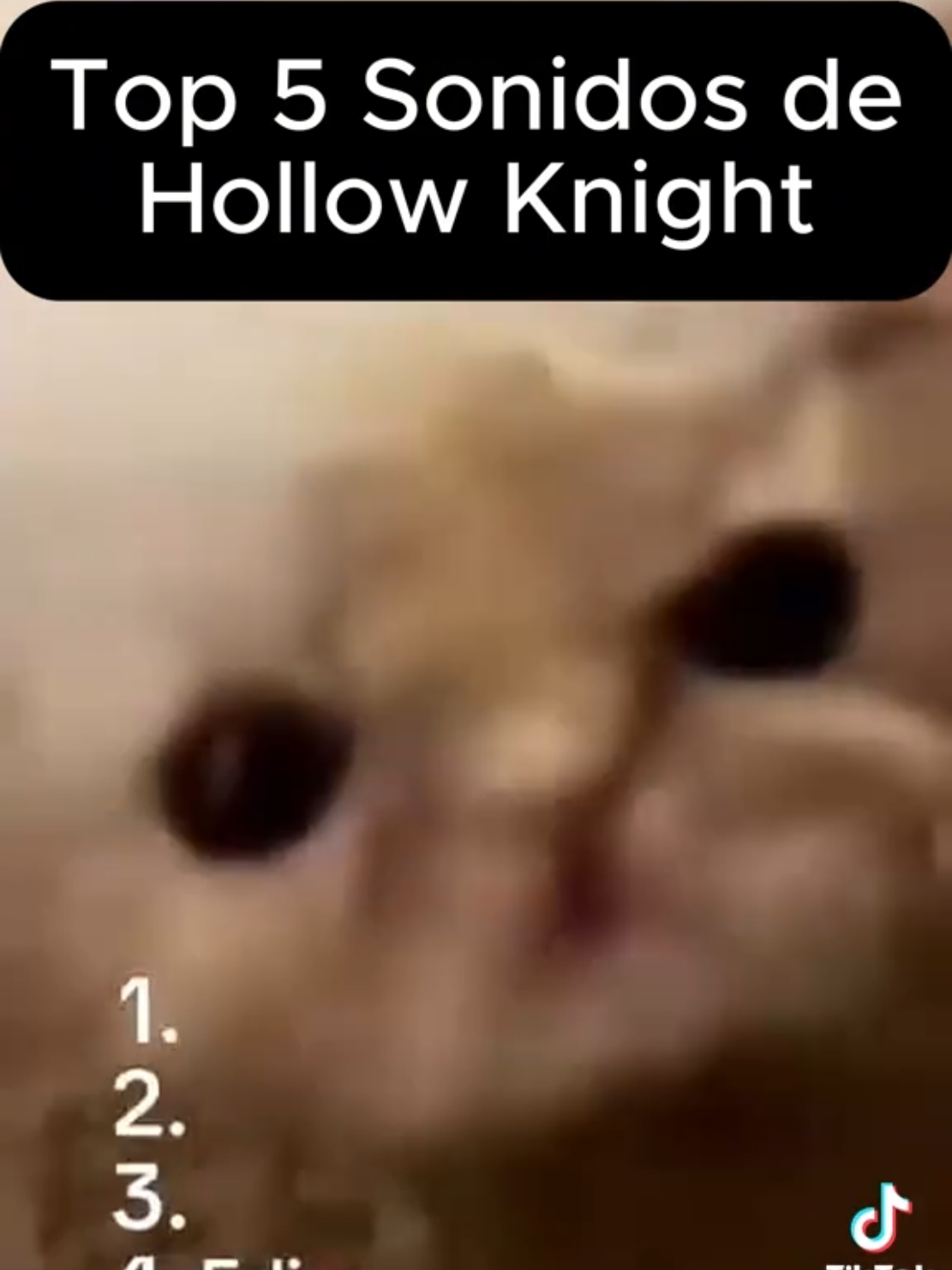 #silksong #hollowknight #hollowknightsilksong #hollowknightmeme #comedia 