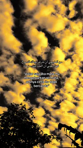 #quotesislami #syaircinta #langitaesthetic #xybca #masukberandamuu 