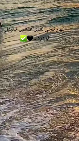 #CapCut 