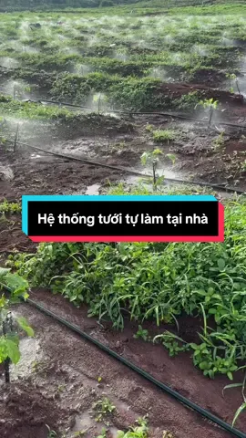 Mình đã tự làm được hệ thống tưới khi mua vật tư ống LDPE , béc , phụ kiện tại kênh#nongnghiepmoi 