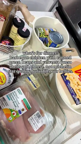 #makedinnerwithme #whatsfordinner #DinnerIdeas #MomsofTikTok #fyp