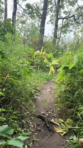 #adventure #Hiking 