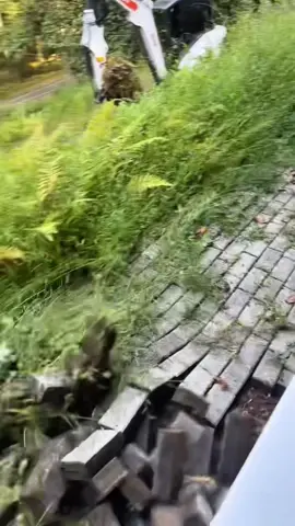 🔥 Watch this crazy transformation! From jungle 🌿 to clean path 🚜➡️✨ Stay till the end… you won’t believe it! 😱 ✨ Keywords: #SatisfyClean #PathReveal #WowEffect#viral #fyp 
