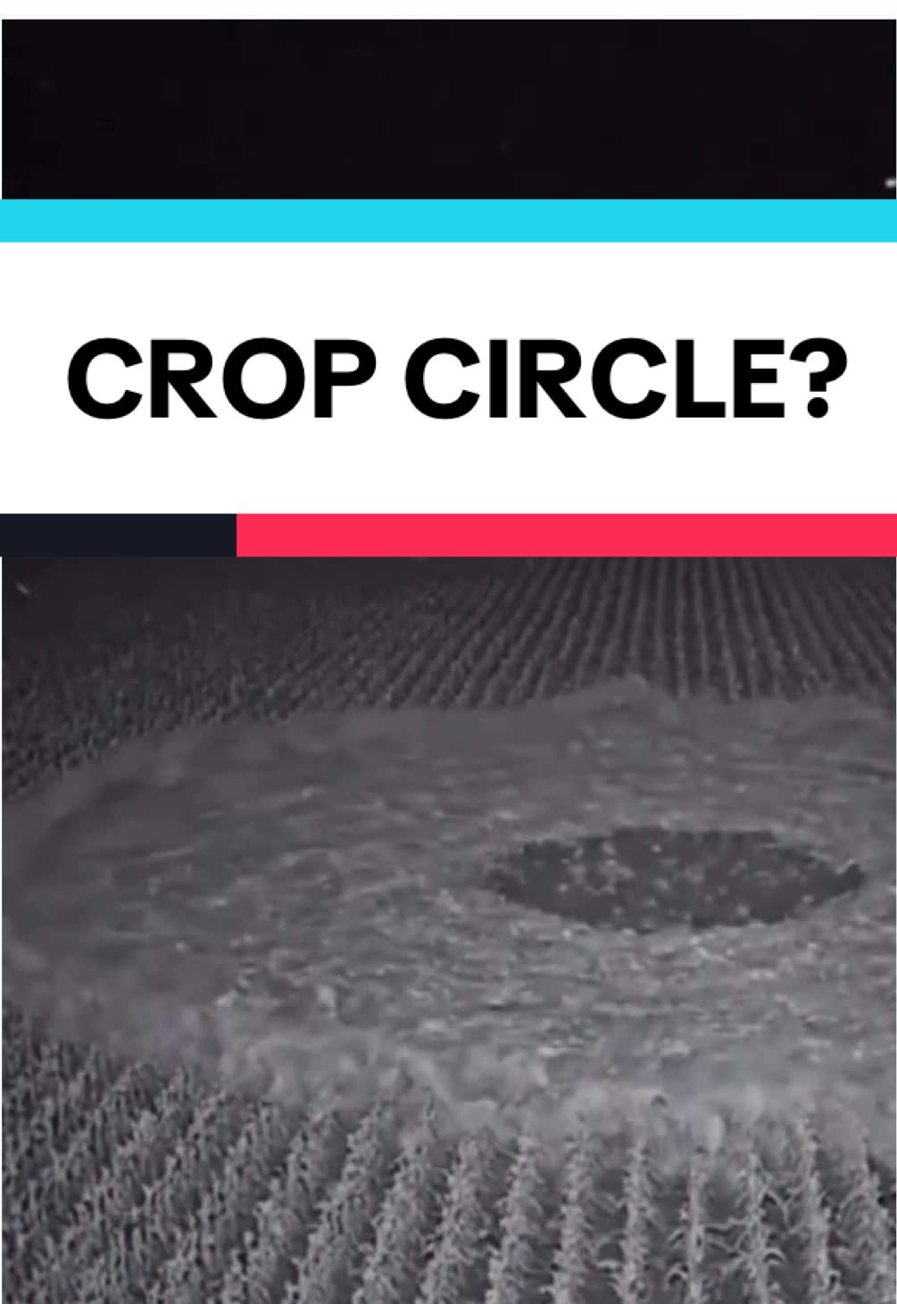 This is not how crop circles are made