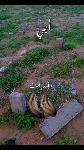 اللهم أرحم أبي اللهم اجعل ملائكة الرحمة تحفّه من كل جانب، وافتح له بابًا من الجنة يأتيه منه روحها وطيبها، اللهم اجعل قبره روضة من رياض الجنة، ولا تجعله حفرة من حفر النار#اللهم_امين_يارب_العالمين #اللهم_صلي_على_نبينا_محمد #سبحان_الله_وبحمده_سبحان_الله_العظيم #اللهم_لك_الحمد_ولك_الشكر #🤍🤍🤍 @Hani Al Zahrani 