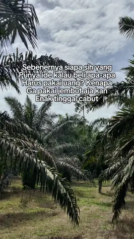 Goodpagi mentemen👋#petanisawit #sawitstory #sawitbalap #sawitjambi #sawittiktok #sawitsumatera #sawitriau #petanisawitsukses #sawitontiktok #sawitnusantara #sawitindonesia #sawitstory🌴🌴🌴 #petanimuda #petanimilenial #sawit #bismillahfyp #sawitkalimantan #sawitmalaysia #sawitsumatra #sawit #sawitontiktok #sawitstory🌴🌴🌴 