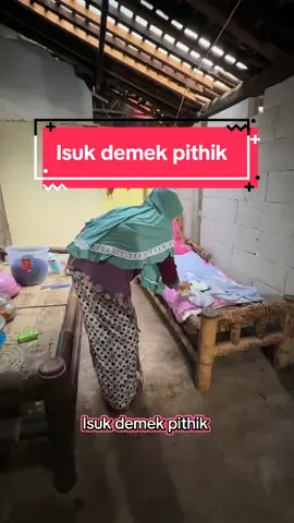 sing Keno kucing #fyp #viral #foryou #foryouu 
