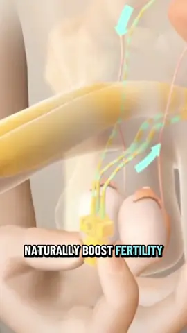 7 foods that naturally boost fertility in men! #mensfertility  #fertility #fertilityawareness  #foryoupage❤️❤️ 