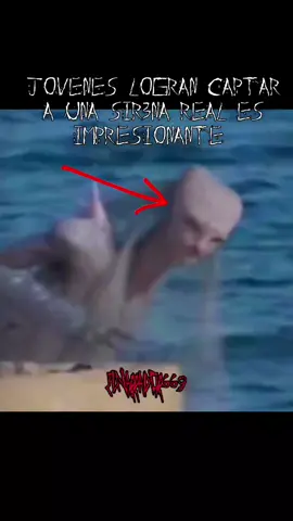 Jovenes Logran captar a una Sir3na real es impresionante 😱 #cristurasmisteriosas #criaturaextrañas #sirena #oceano #camara #elnarrador669 #viral #fpy