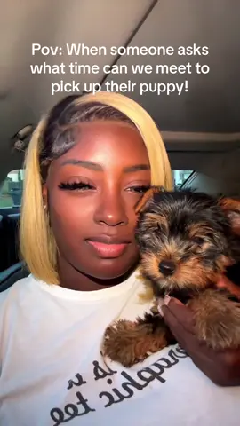 His bags are packed… what time you said again?! 😂 #fyp #puppytiktok #puppytok #Yorkie #Atlanta 