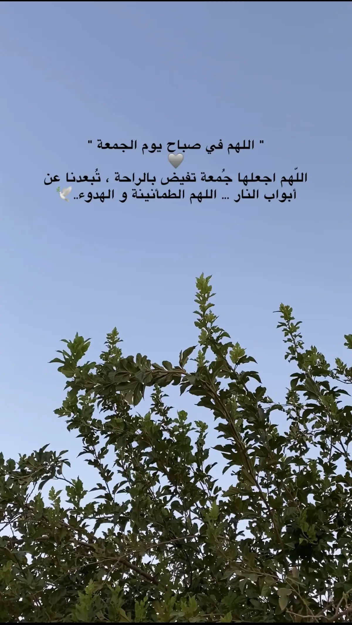 #اللهم_امين #یارب_العالمیــــــــــن🤲🏻🥺 