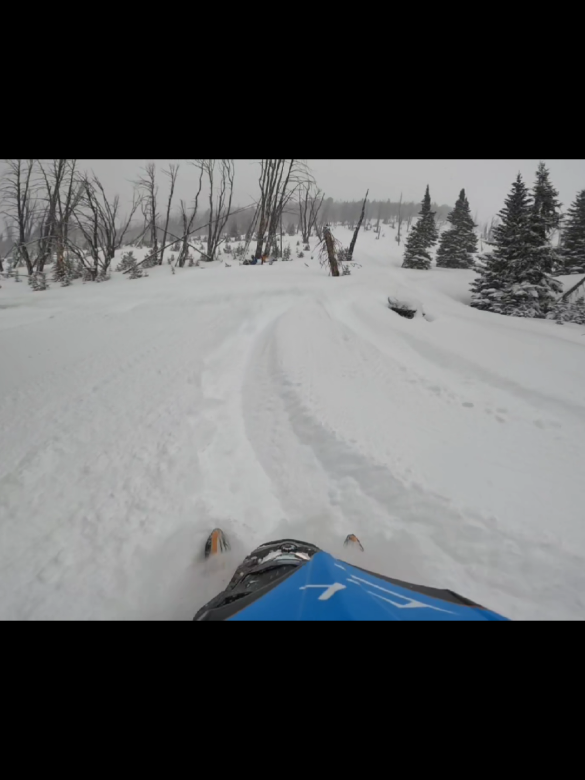 turn and burn!🤘looking for a stuck cat.  winter forecast looking great this year! big pow days are coming.  also gonna be back with klim this year!🤘#michigantreerider #braaap #fyp #sledtok #thatskidoofeeling 