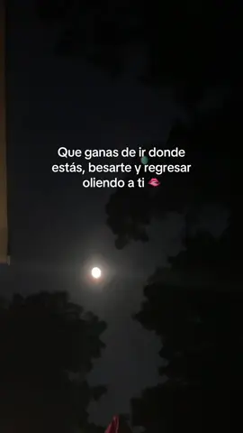 #fyyyyppp🦋🦋 #🇵🇷🇵🇷 #unanochecontigo #luna 