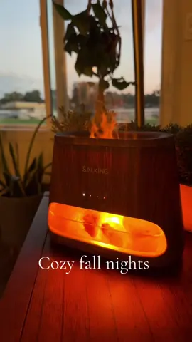 Himalayan salt naturally purifies the air. Add your favorite diffuser oil and make your house smell amazing. #diffuser #himalayansalt #firediffuser #giftidea #giftideas 