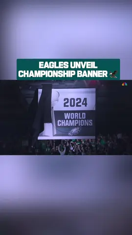 it's here and it's beautiful 🔥 #nfl #philadelphiaeagles