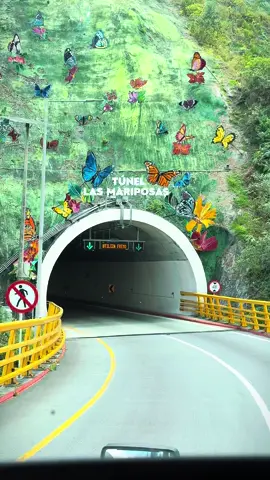 Por esto sería  una y mil veces ser camionero 🚛