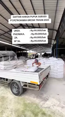 DAFTAR HARGA PUPUK SUBSIDI PT.PETROKIMIA GRESIK TAHUN 2025 UREA.                    : Rp.90.000/Sak PHONSKA.            : Rp.90.000/Sak ZA.                         : Rp.90.000/Sak SP 36.                    : Rp.90.000/Sak * Keterangan : Isi Per Sak (50kg) * Harga Yang Tertera Sudah Termasuk Ongkir * Sistem Pembayaran COD/Bayar Di Tempat Minimal Order 10 Sak - 10 Ton * Tanpa DP Awal / Bayar Duluan * 100% Asli, Pupuk Bisa Di Cek Setelah Sampai#fyp#masukberandafyp#cod#petaniindonesia🇮🇩🇮🇩🇮🇩🌿🌿#untukpetani 