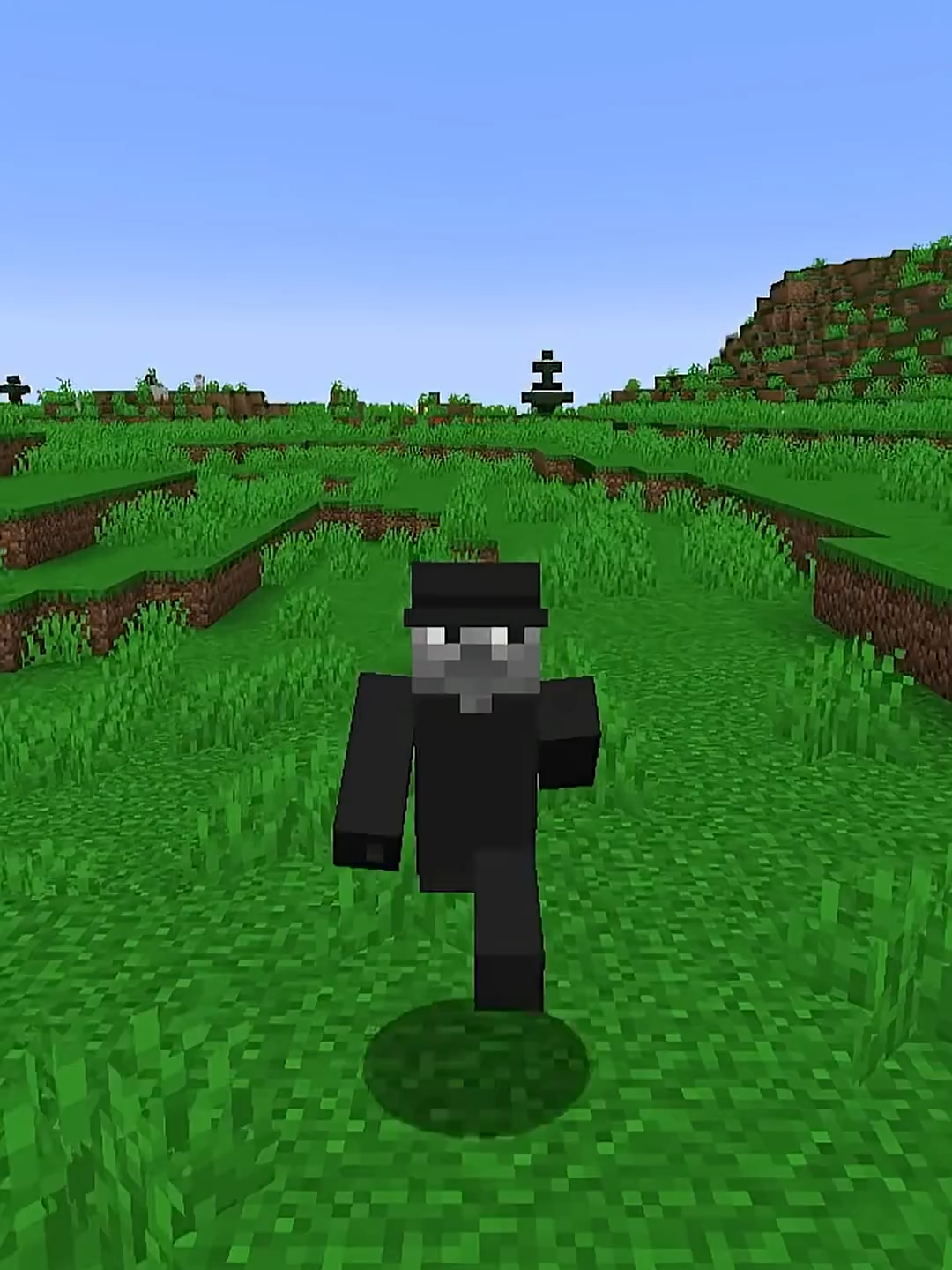 ¿QUE PASARÍA SI TE VOLVIERAS VIEJO EN MINECRAFT