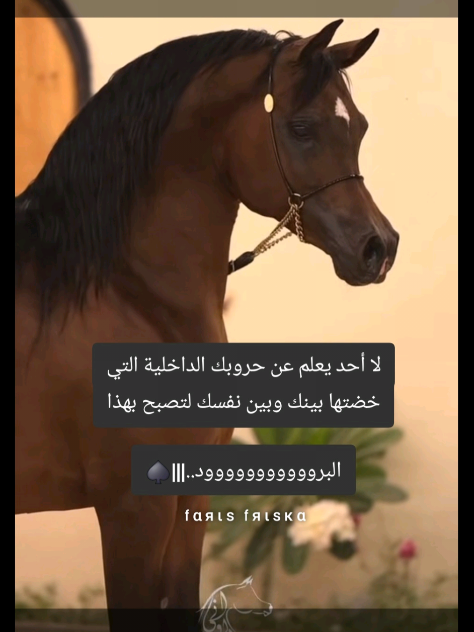 #خيل_وخياله🐎  #عالم_متصنع #لا_آمان_للبشر  #fyppppppppppppppppppppppp 