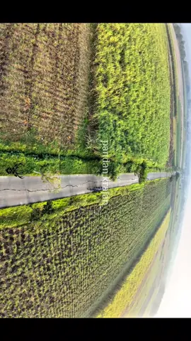 cobak kayak yang laen  #dronepandankrajan #mojokerto #droneplosok #kemlagi #dronevideo 