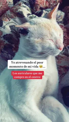 Ay no puede ser#tiktok 
