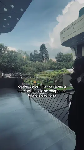 Ya sabes preciosa haha #foryou #humor #contenido #atole #frases 