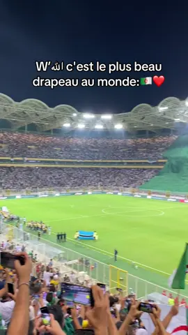 Regarde le drapeau..💪                     #dz #dzpower #algerie🇩🇿 