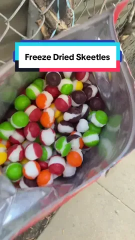Such a great deal right now! 🤩 #freezedriedcandy #freezedried #candy #candies #candytok freeze dried Skeetles candy candies 