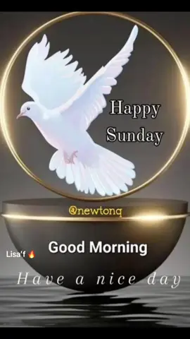 #Good morning sweet day to you and your family #☕️🌹💐👗💧💕🦋#پاگل لڑکی #