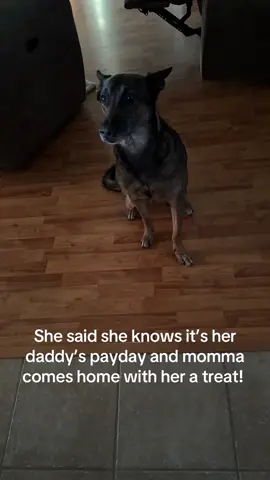 That’s my girl and ima stick beside her. #malsoftiktok #maligator #belgianmalinois #dogsoftiktok #MomsofTikTok 