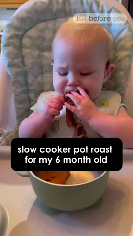 We decided to follow baby led weaning because we didn’t have time to make seperate meals for our baby and honestly it was the best decision ever! This cookbook from 101 before one made cooking one meal for the whole family so easy.  #101beforeone #babyledweaning #blw 