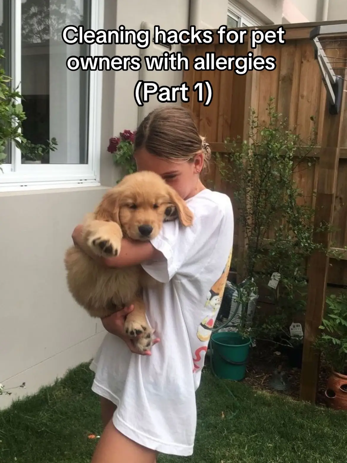 Cleaning hacks for pet owners with allergies (part 1) #fyp #allergies #petlover #viral #pets 
