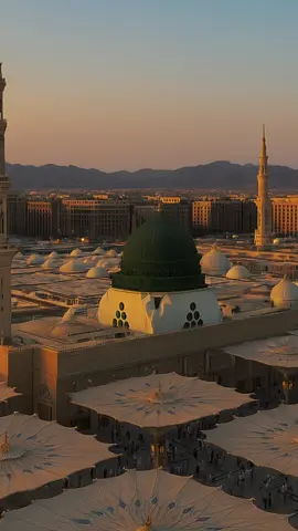 يا رسول الله 🥲 ياسيد الرسل نظرة للفقير الغشوم نظرة بعين العناية للعديم الظلوم نبغى شفاعة كبيرة منك ساعة تقوم لنا ومن قد حضر معنا طواف القدوم Wahai penghulu para rasul, pandanglah kepada hamba yang fakir dan penuh kekurangan. Sebuah pandangan dengan mata kasih sayang dan perhatian, untuk hamba yang lemah dan dholim. Kami berharap syafaat agung darimu (wahai Rasulullah) pada saat engkau berdiri (di hadapan Allah).Bagi kami dan siapa saja yang hadir bersama kami dalam thawaf kedatangan (majelis ini). #majelisrasulullahsawjatim #maulidnabi #rasulullahﷺ #nabawi #masjidnabawi 