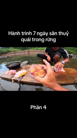 Phần 4 : hàng trình 7 ngày săn thuỷ quái trong rừng.#sangvlog #xuhuong 