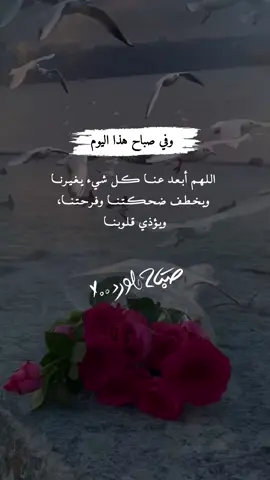 #صباح_الورد #عبارات_الصباح #ادعية_اسلامية_تريح_القلب 