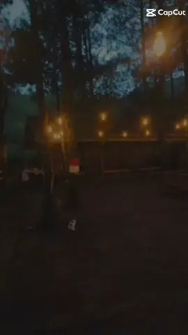 #CapCut 