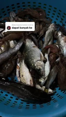 Membalas kepada @rizal oa 