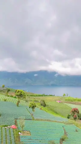 Pesona Keindahan Danau Bawah, Alahan Panjang 