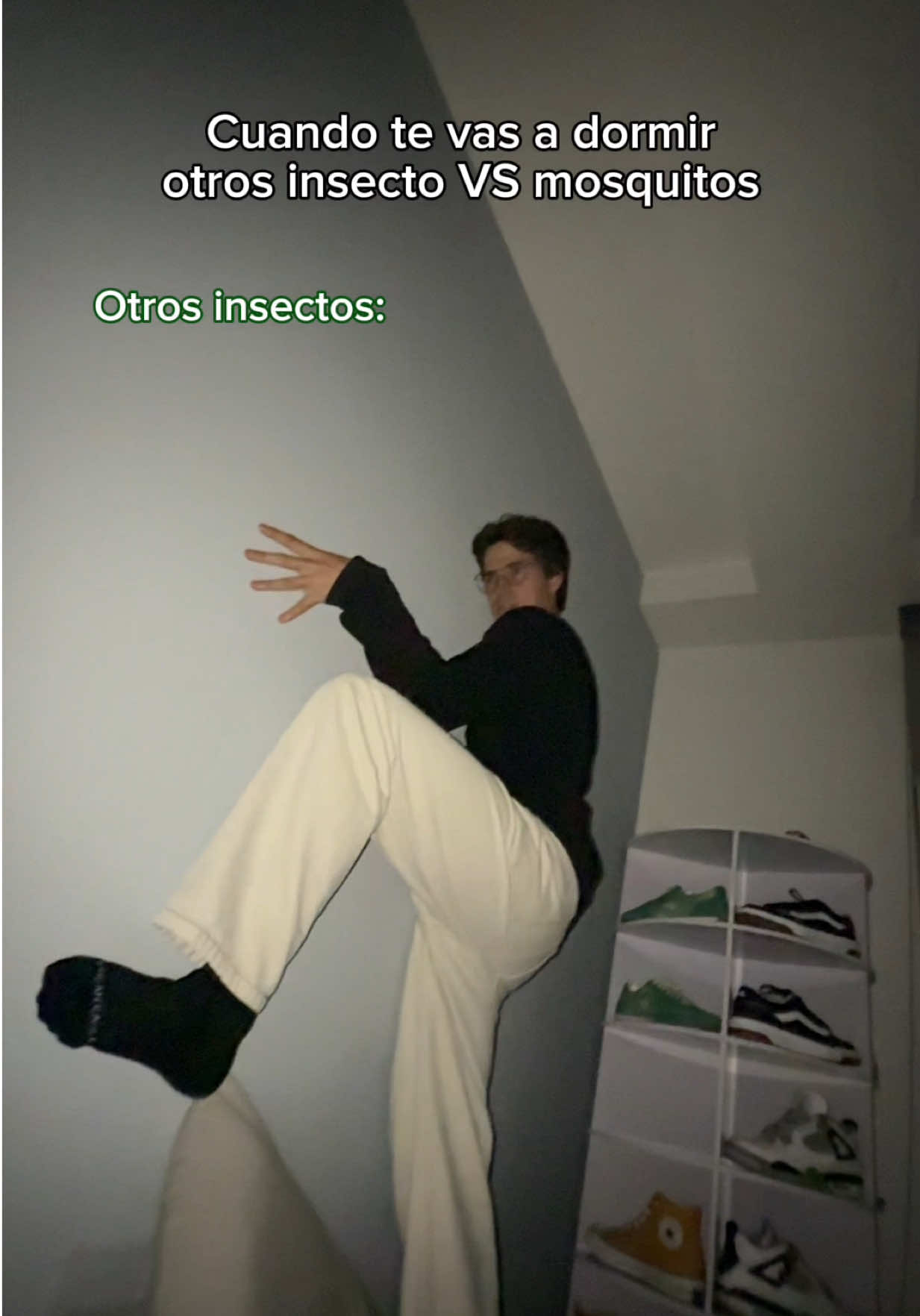 El final merece un aplauso  (IG:bicho_orozco) #fypシ゚ #humor #comedia #mosquito #insectos 