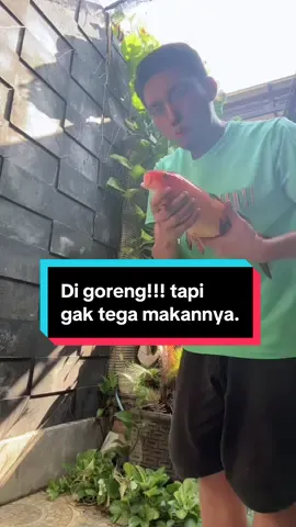 Mending mancing gak sih? apa kelamaan, ambil di kolam aja hahahahhaa #kolamikan #ikanhias #ikan #fypシ 